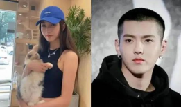 娱乐圈男星近期吃瓜事件,近期吃瓜事件盘点，揭秘明星背后的真相